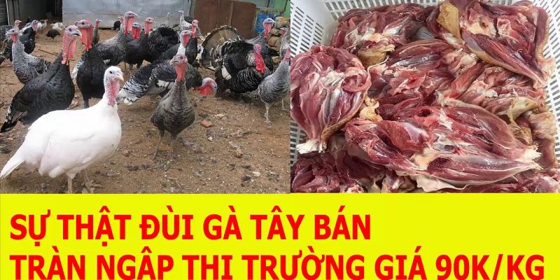 Giá đùi gà tây rẻ bất ngờ tại thị trường Việt Nam trong năm 2020