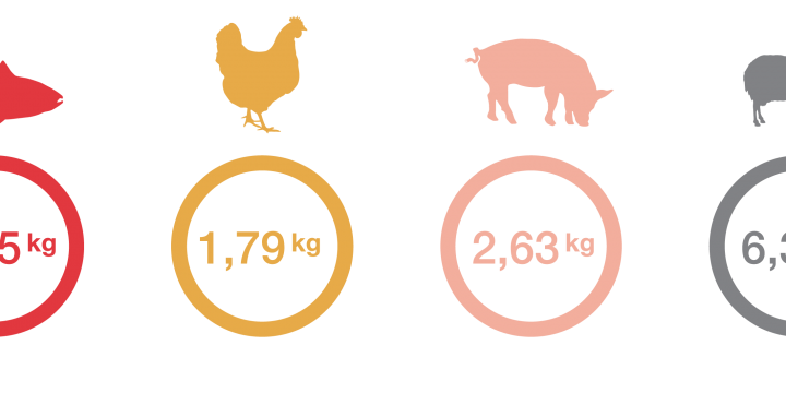 Khối lượng tiêu thụ thức ăn trong nuôi gà bị ảnh hưởng bởi yếu tố nào?