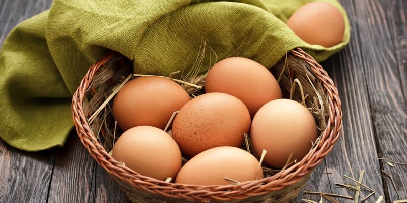 Tăng trọng lượng trứng thông qua dinh dưỡng cho gà mái