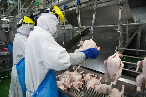 Bộ Thương mại Thái Lan đang đặt mục tiêu tăng 10% xuất khẩu thịt gà trong năm nay sau khi COVID-19 đã lắng xuống