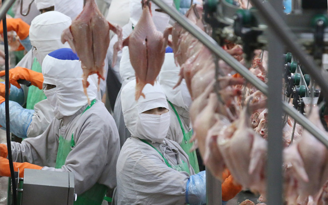 Nhà máy chế biến thịt gà của Tập đoàn Thực phẩm Charoen Pokphand (CPF)