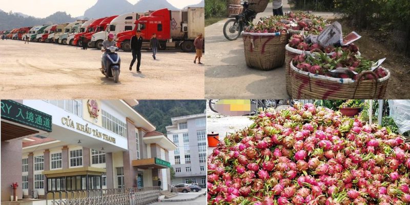 Thương mại nông sản Việt Nam sẽ được “đẩy mạnh” vào năm 2021