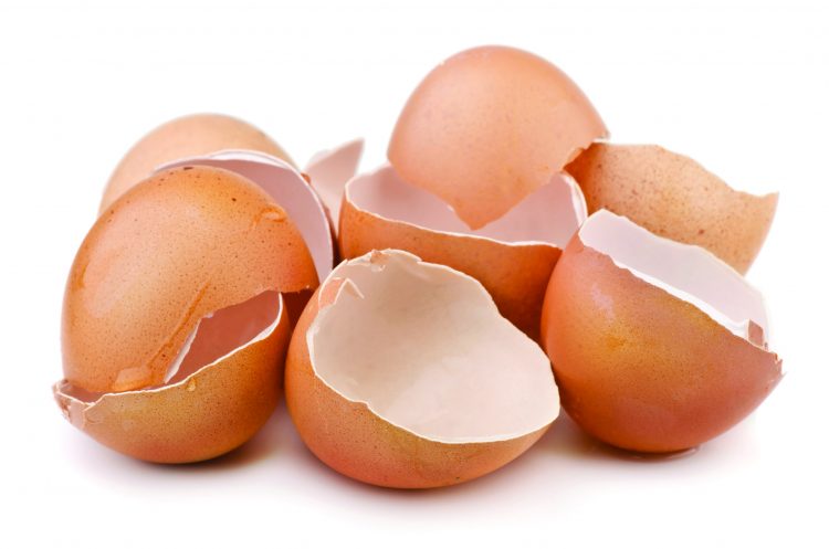 Dinh dưỡng và chất lượng vỏ trứng