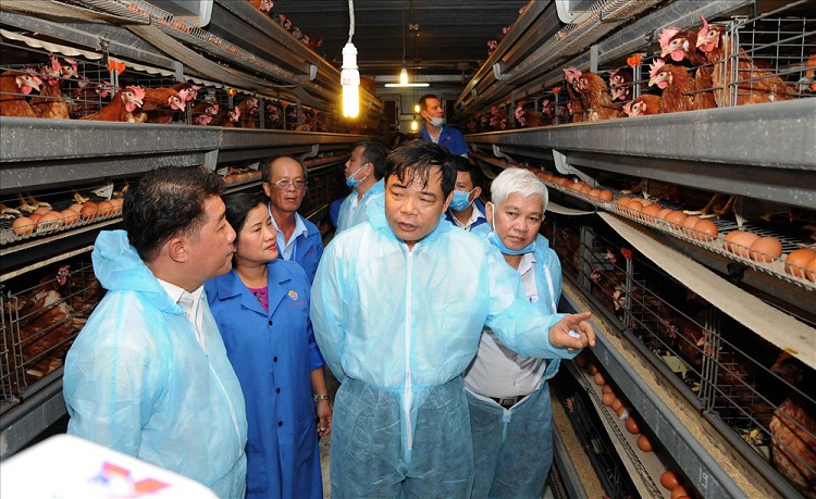Bộ trưởng Nguyễn Xuân Cường cùng đoàn công tác thăm trang trại chăn nuôi gia cầm gà lạnh của Tập đoàn Hùng Nhơn 